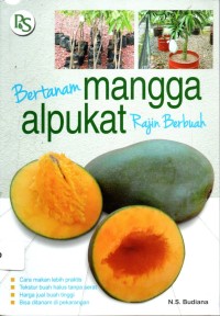 Bertanam Mangga Alpukat Rajin Berbuah